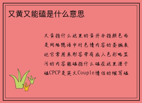 又黄又能磕是什么意思